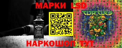 ПСИЛОЦИБИНОВЫЕ ГРИБЫ Балашиха