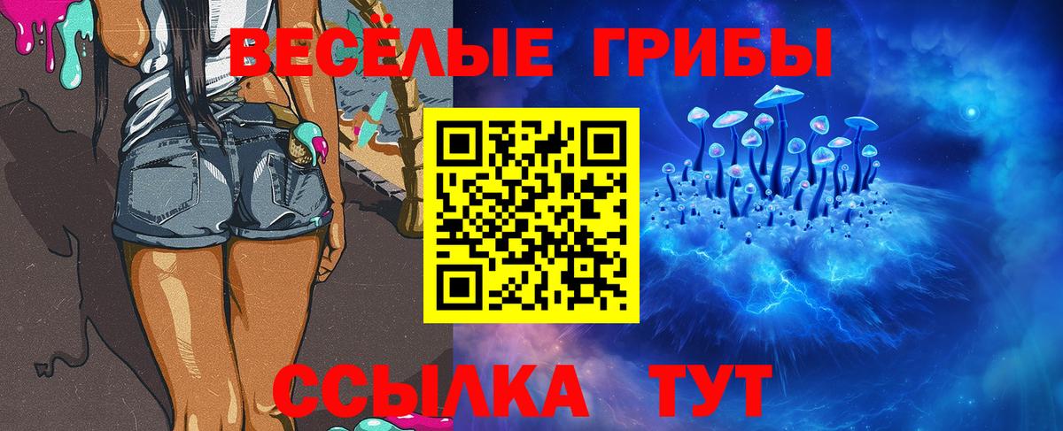 Галлюциногенные грибы Cubensis Ейск