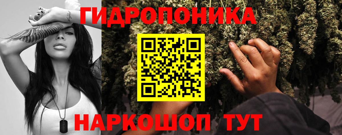 Бошки Шишки план Ейск